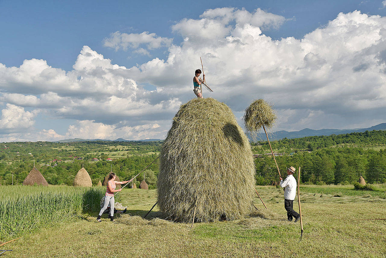 Parts of the Romanian countryside are like the Amish Country in Pennsylvania, an old-fashioned world where farmers pile hay by hand into humongous haystacks. (Rick Steves’ Europe)