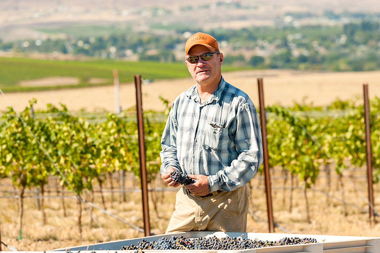 Dick Boushey, a viticulturist on Red Mountain, was named the Washington State Wine Commission’s Grower of the Year in 2002 and Grower of the Year by Wine & Spirits magazine in 2007. (Photo by Richard Duval Images)