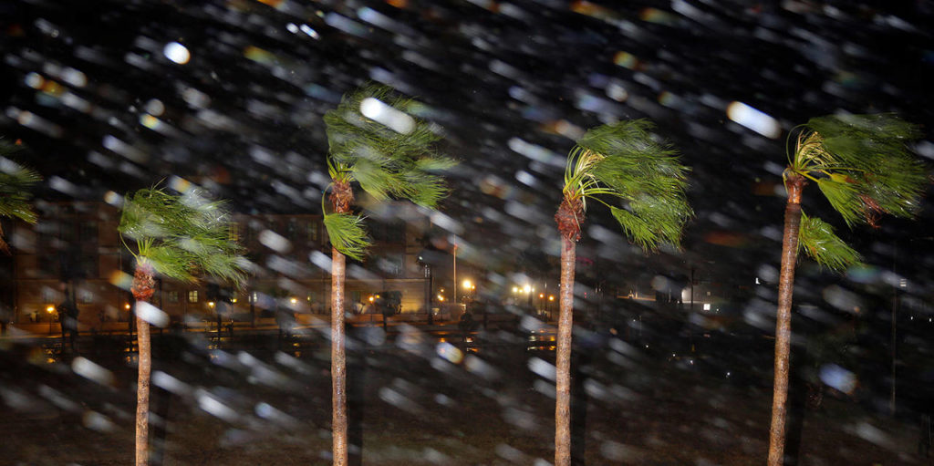 Rain is blown past palm trees as Hurricane Harvey makes landfall Friday in Corpus Christi, Texas. (AP Photo/Eric Gay)
