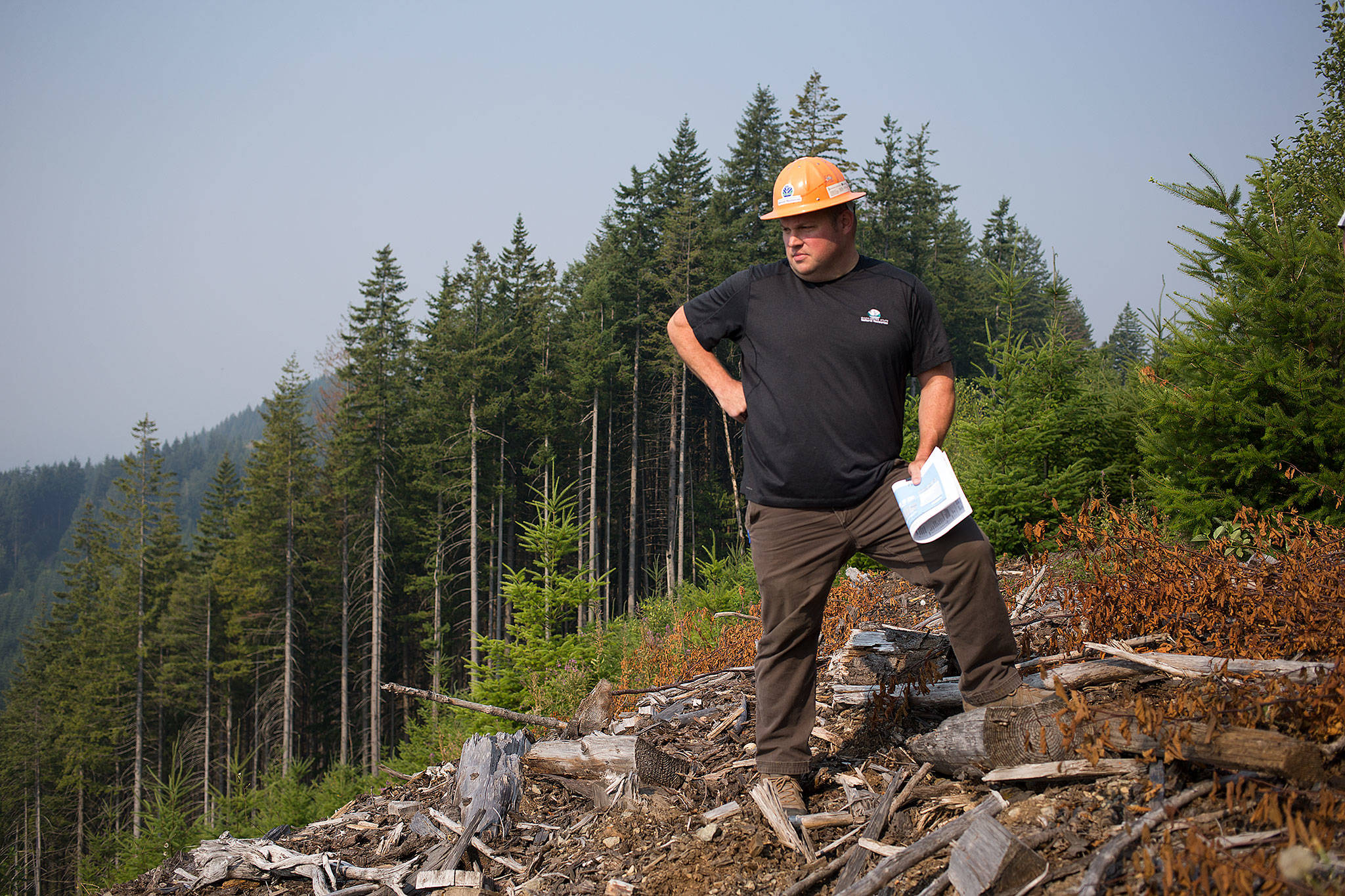 Mark Arneson, a Department of Natural Resources district manager, looks down Stimson Hill, near Arlington, where the Grandview Unit 1 timber sale was logged in 2009 and replanted a year later. (Andy Bronson / The Herald)