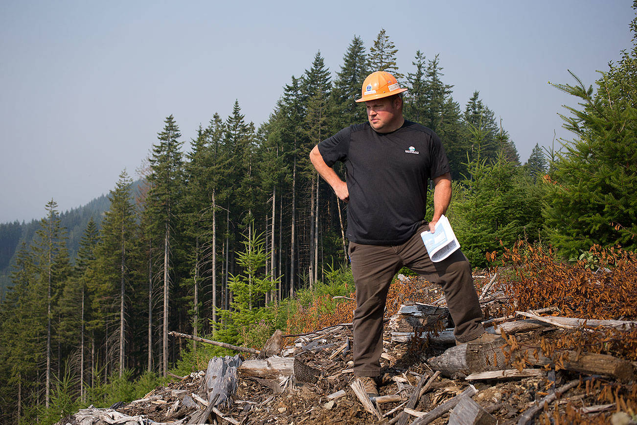 With timber sales, revenue and recreation can collide