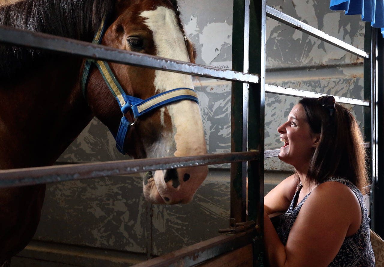 Jennifer Billings, of Astoria, Oregon, enjoys a visit with Woody the horse at the Evergreen State Fair on Sunday. (Kevin Clark / The Herald)