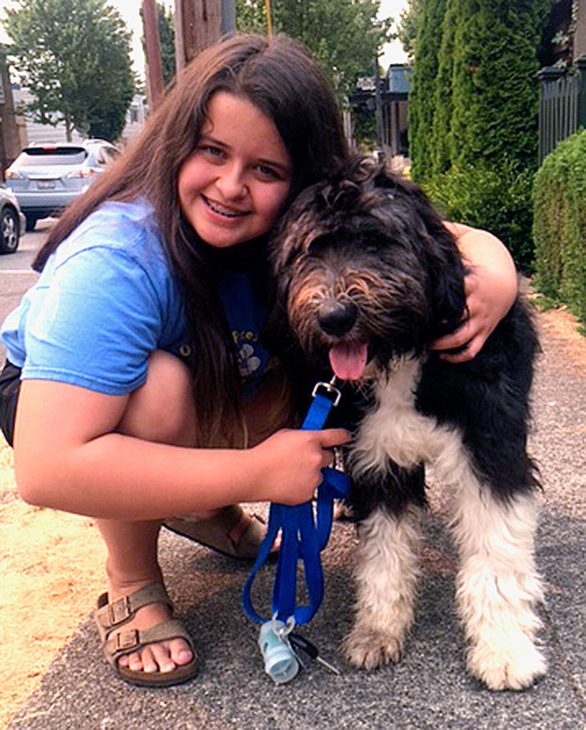 Annalise Brush, an Edmonds 12-year-old, with her new bearded collie mix, “Bernie,” a Texas dog adopted from PAWS in Lynnwood. (Courtesy of Lori Brush)
