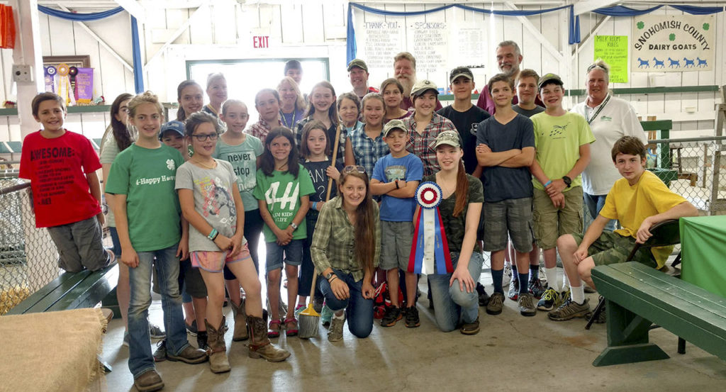 A group of 4H participants in the dairy goat barn show off the prize they won for being willing to give up their chances of scoring high in competition in order to save a dying piglet. (Evergreen State Fair)

