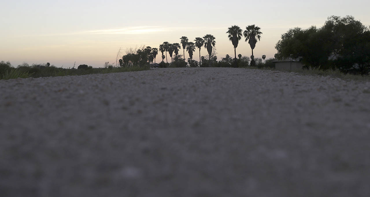 In this Aug. 11 photo, the sun sets over a levee that runs through the Santa Ana National Wildlife Refuge, home to 400-plus species of birds and several endangered wildcats, in Alamo, Texas. (AP Photo/Eric Gay)