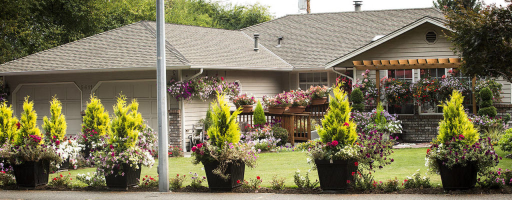 Situated on Colby Avenue, the Golfview adult home in Everett has hundreds of flowers in bloom. (Ian Terry / The Herald)
