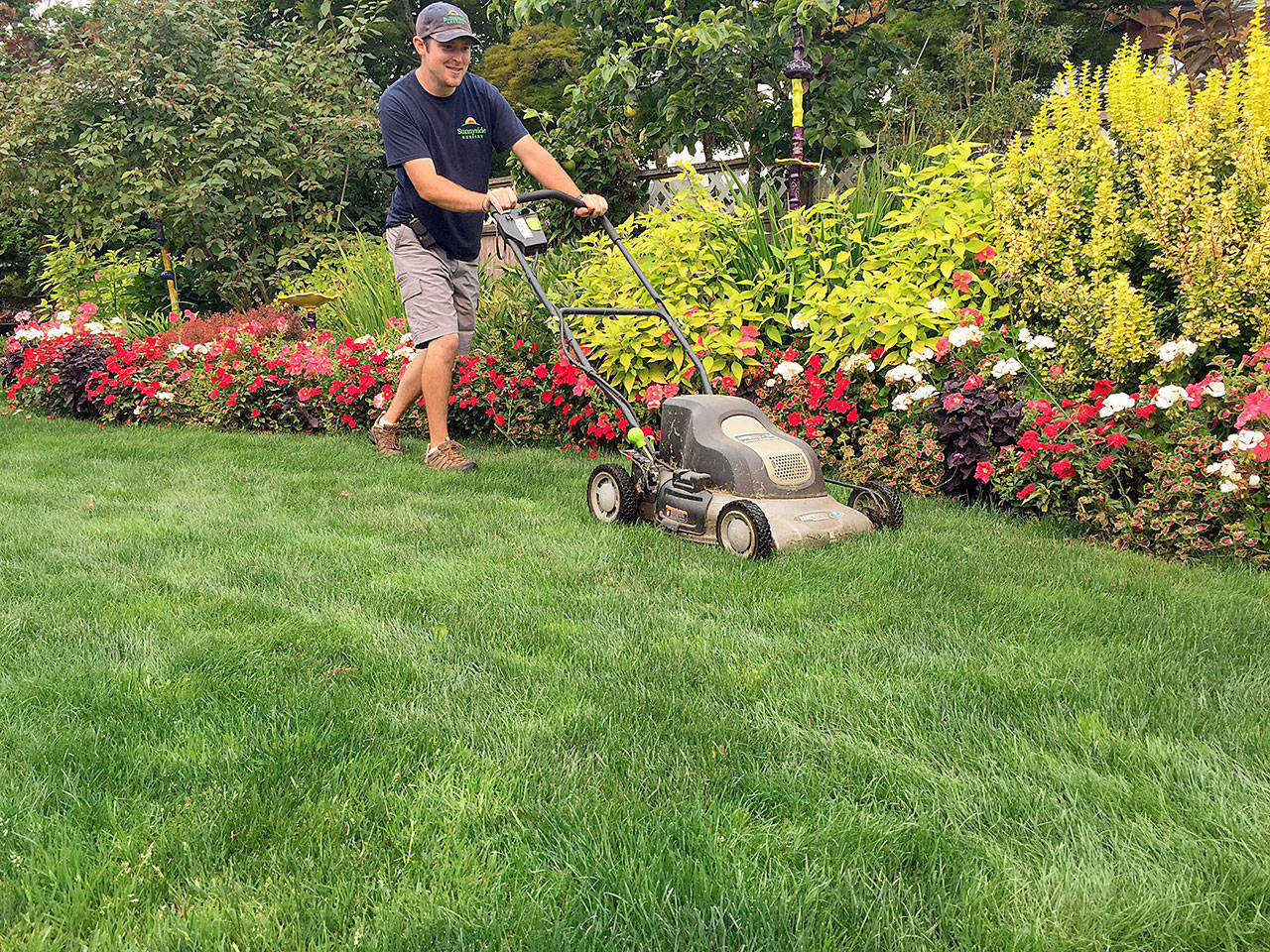 Wes McClain mows the author’s lawn. Steve Smith likes to keep it to 2 to 3 inches tall year round. (Nicole Phillips/Sunnyside Nursery)