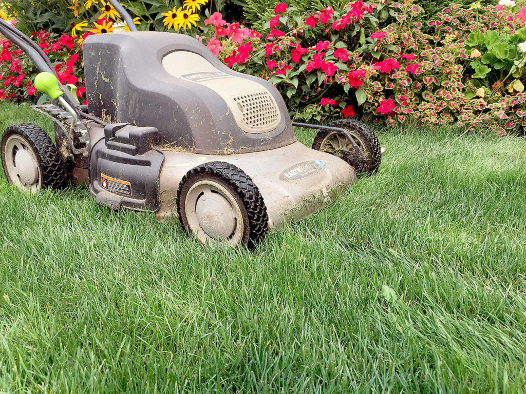 McClain mows the author’s lawn. (Nicole Phillips/Sunnyside Nursery)
