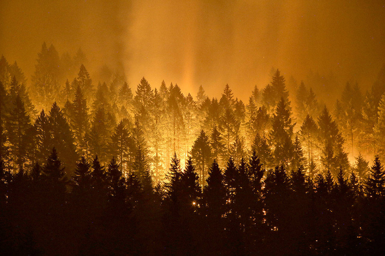 The Eagle Creek wildfire burns on the Oregon side of the Columbia River Gorge near Cascade Locks on Tuesday. An Oregon lawmaker has lashed out at restrictions on logging, blaming them for the intensity of wildfires plaguing much of the U.S. West. (Genna Martin /seattlepi.com via AP)