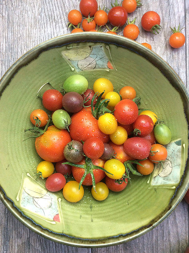 Late summer is a great time to stock your freezer with the plethora of produce that’s still in season. Roasted tomatoes, peppers, corn and capers is one of the author’s favorite tomato dishes. (Jan Roberts-Dominguez)
