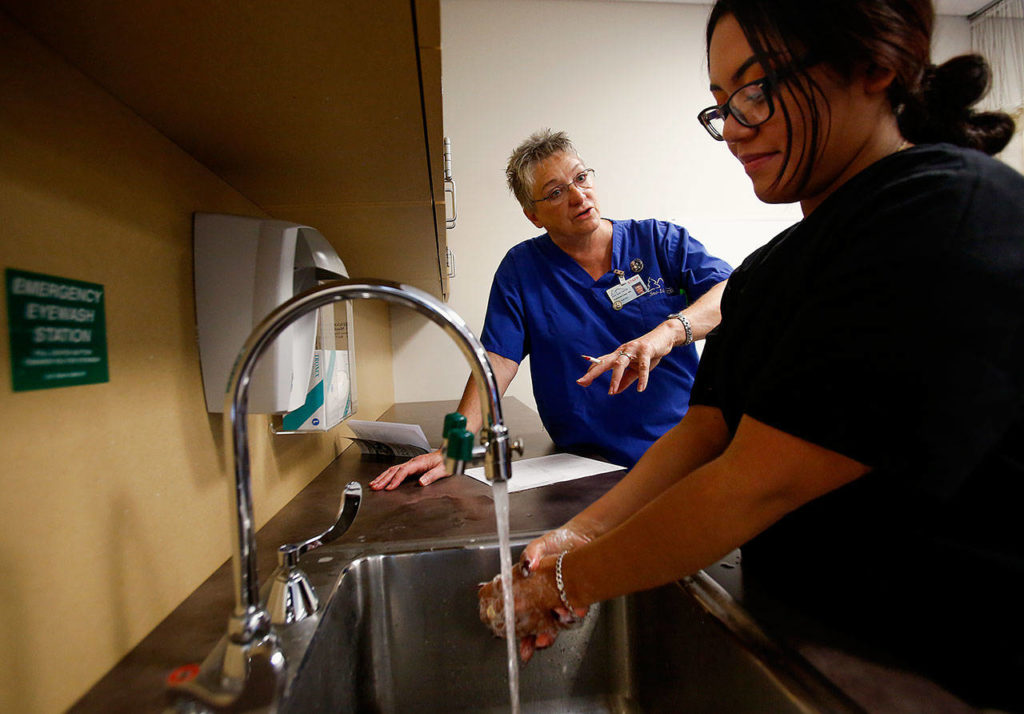 Head nursing instructor Kathleen Cass instructs new student Brisa Garcia during a handwashing exercise Wednesday at Sno-Isle Tech skills Center. Cass, an RN, has been teaching at Sno-Isle for 10 years. (Dan Bates / The Herald)
