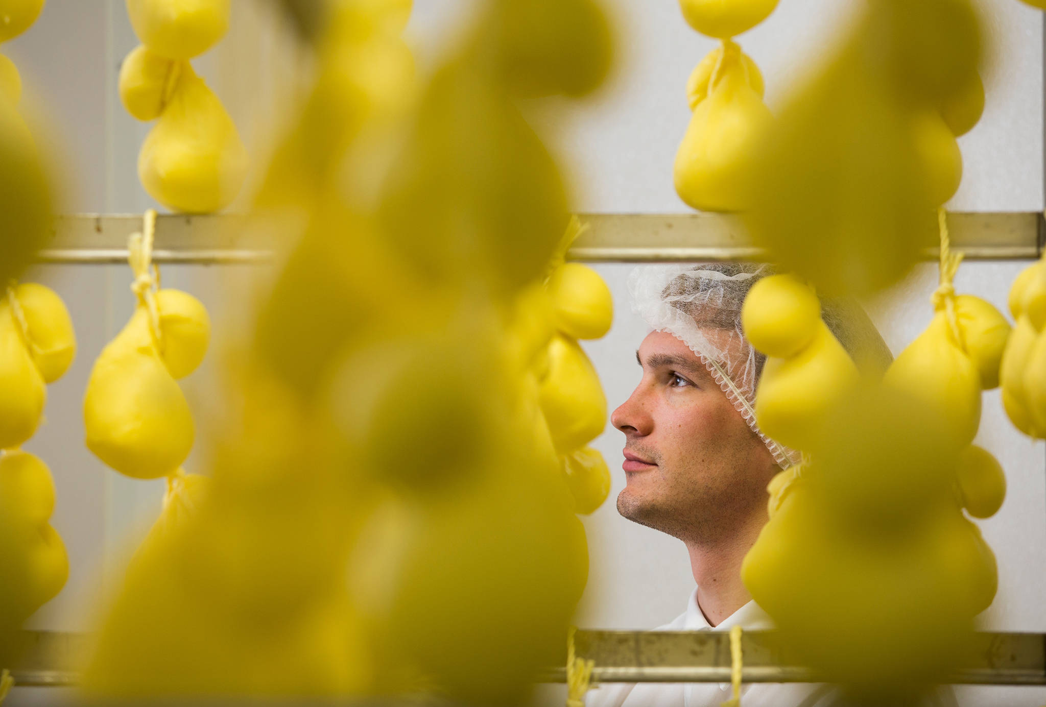 Cheesemaker Daniel Wavrin poses behind Scamorza cheese, which is hung on ropes to age, at Ferndale Farmstead. (Andy Bronson | The Herald)