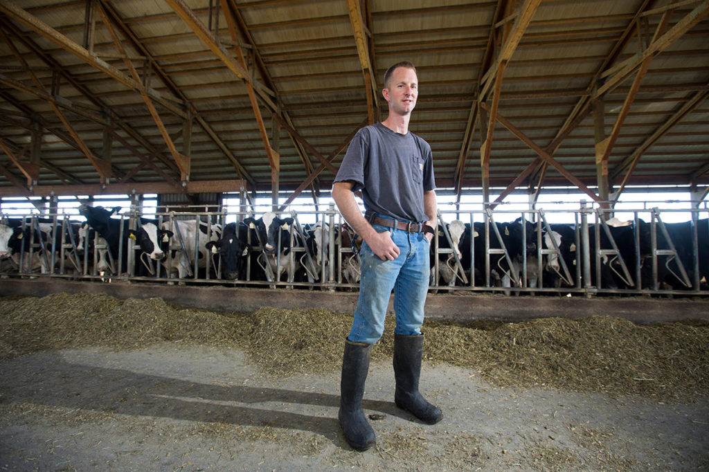 “I see it from the grass to the milk tank,” said farm manager Kevin Dougherty, who oversees the farm at Ferndale Farmstead. (Andy Bronson | The Herald)
