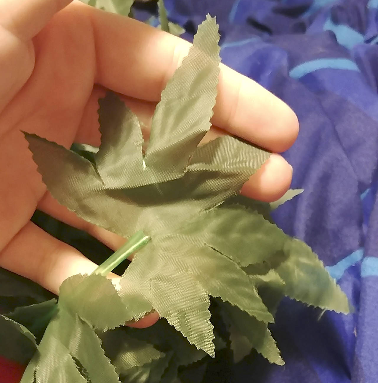 Leis bearing a striking resemblance to marijuana leaves were handed out at Marysville Pilchuck High School. (Courtesy photo)
