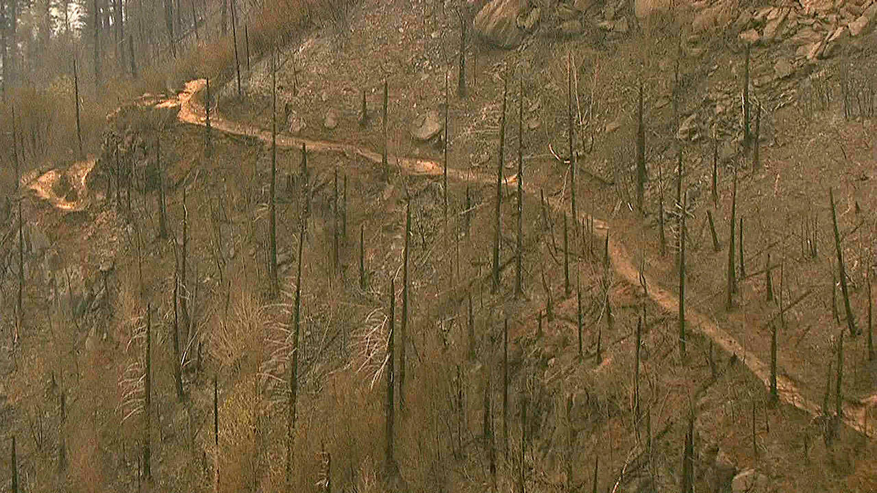 Fire damage in the area of Angel’s Rest trail in the Columbia River Gorge near Cascade Locks, Oregon. (KGW-TV via AP)