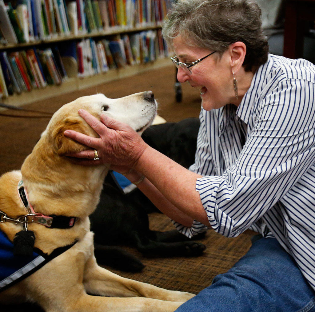Volunteer puppy trainer Lisa Akin grabs and hugs 11-year-old Risa who, like Carmen, 12, is a guest of honor at the Mukilteo Library on Tuesday as the two therapy dogs retire. Akin has a deep attachment to most of the dogs involved in this program, having taken care of them from puppyhood to the time they are ready for professional training. (Dan Bates / The Herald)
