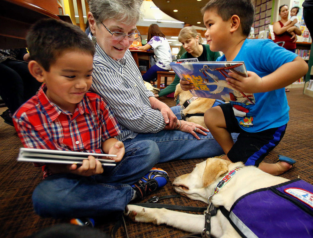 Lisa Akin doesn’t only attract all the dogs who grew to love her when they were puppies. She also draws in the kids who fall in love with the dogs. Jeyren Blanco, 6 (left), and his brother, Kayden, 4, like hanging out with Akin. She helped them read to the dogs, including Merced, a Cascade Service Dog. (Dan Bates / The Herald)
