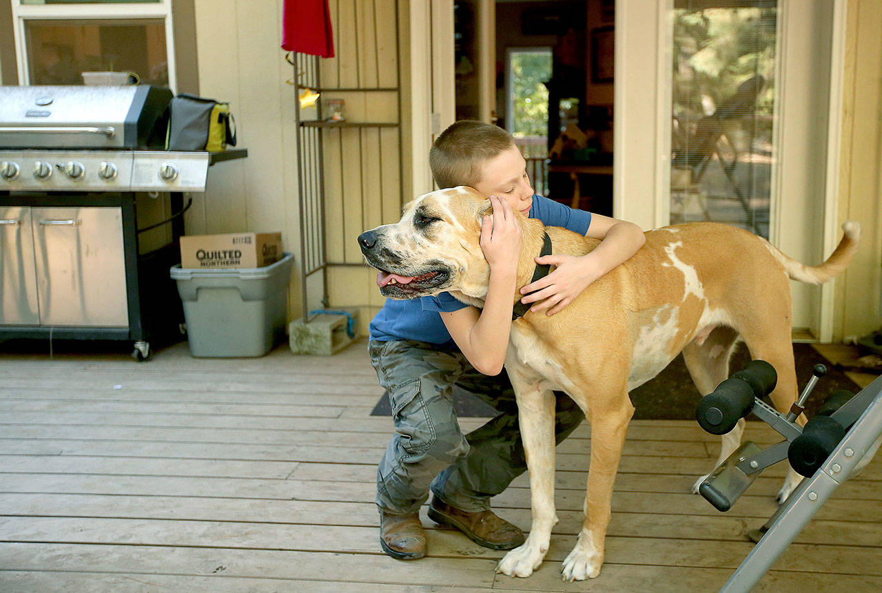 Clayton Cavasos gives his dog, Zeus, a hug on the back porch after playing in the yard of their Poulsbo home Sept. 13. (Meegan M. Reid/Kitsap Sun via AP)
