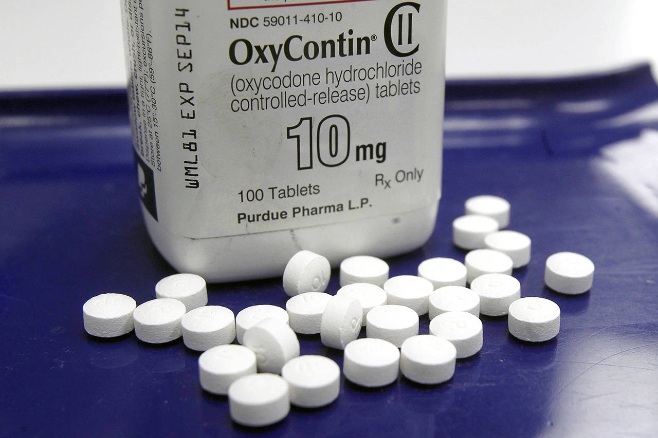 Everett is suing the makers of OxyContin, claiming the pharmaceutical company knew its prescription painkiller was being funneled into the black market. (AP Photo/Toby Talbot, File)