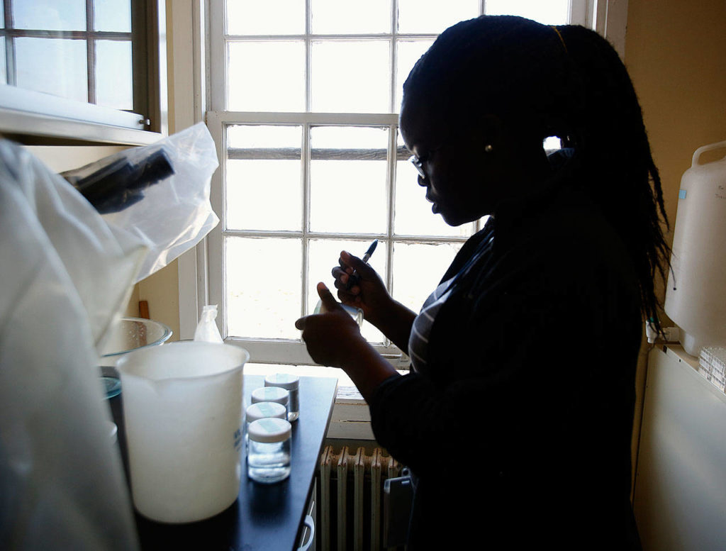 At NOAH in Mukileto, Akofa Kekeh, a 20-year-old intern from Virginia labels water quality samples used in studying the impact of ocean acidification on dungeness crab reproduction. (Dan Bates / The Herald)
