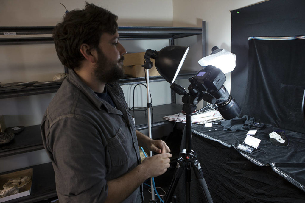 Sean Johnson photographs artifacts at FossilEra in Monroe. (Ian Terry / The Herald)
