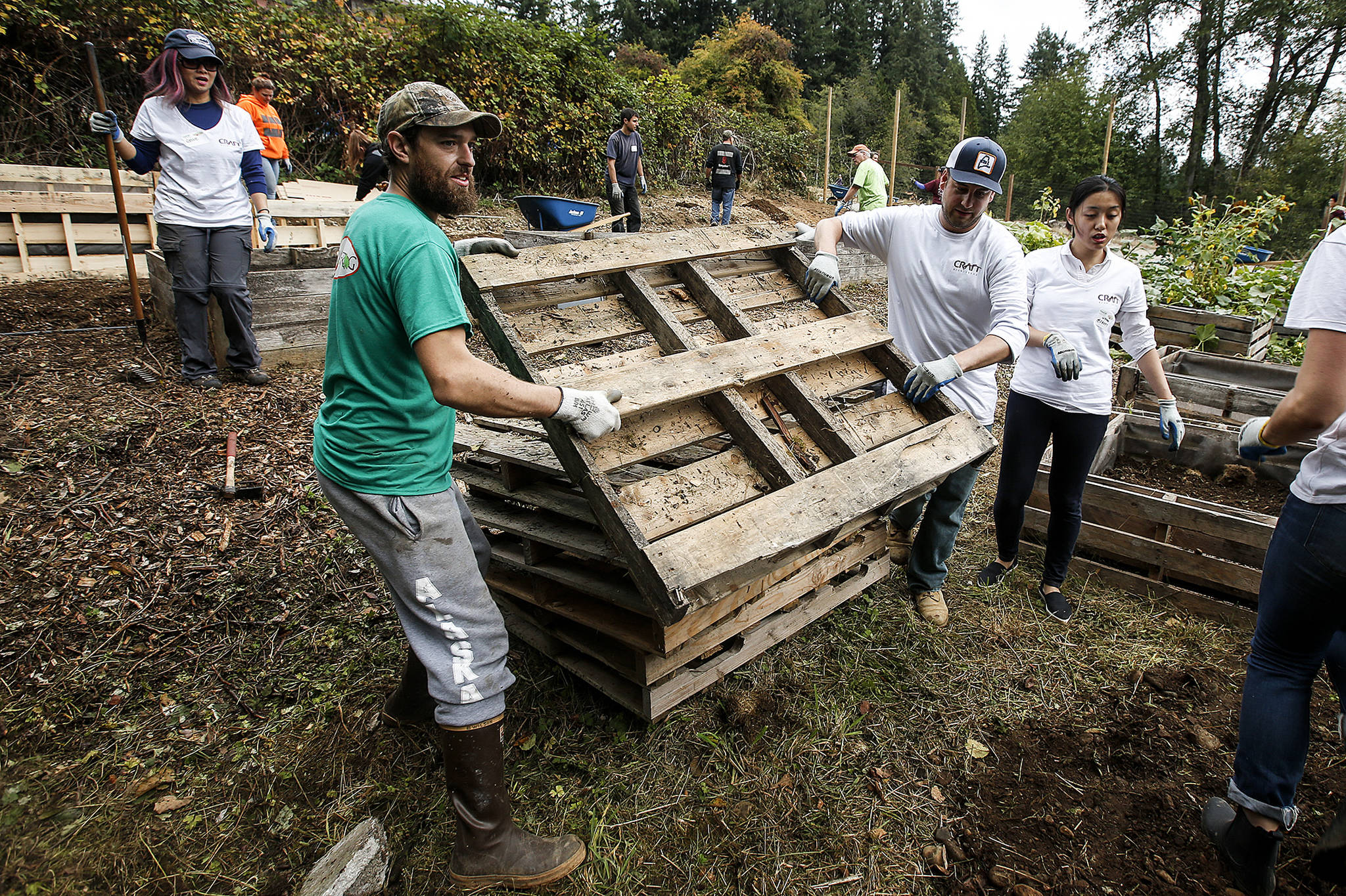 Bryan Wilson (left), of Shoreline, and Brad Pineau carry wood pallettes out from a site during a volunteer day at Farmer Frog in Woodinville on Saturday, Sept. 30. (Ian Terry / The Herald)