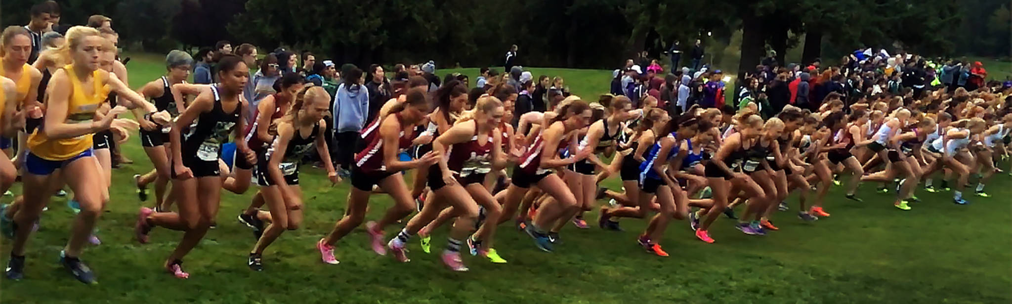 Twilight Cross Country Invitational at Cedarcrest Golf Course in Marysville on Saturday. (Sue Misao / The Herald)