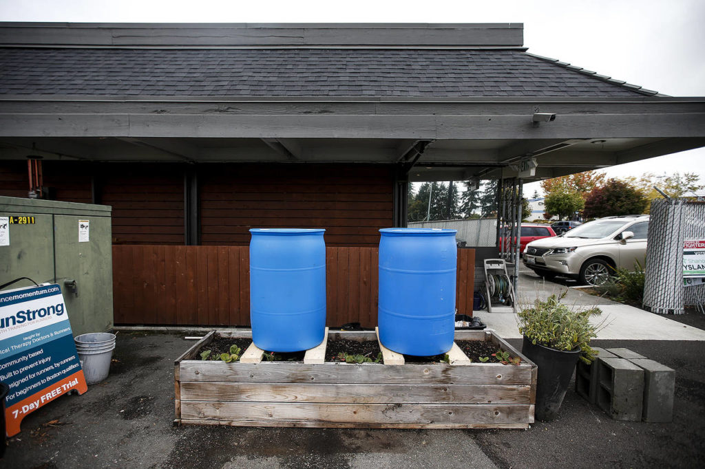 Rain barrels await installation at Experience Momentum in Lynnwood. (Ian Terry / The Herald)
