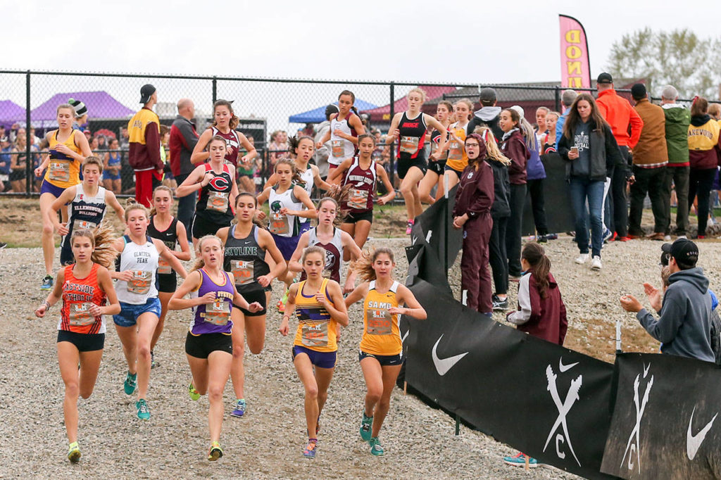 Competitors make their way through the course during the 34th annual Hole in the Wall Cross Country Invitational on Oct. 7, 2017, at Lakewood High School in Arlington. (Kevin Clark / The Herald)
