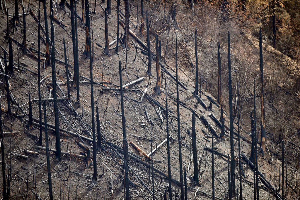 The Columbia River Gorge near Cascade Locks as seen from a helicopter more than a month after the Eagle Creek fire erupted. (Mark Graves/The Oregonian via AP) 
