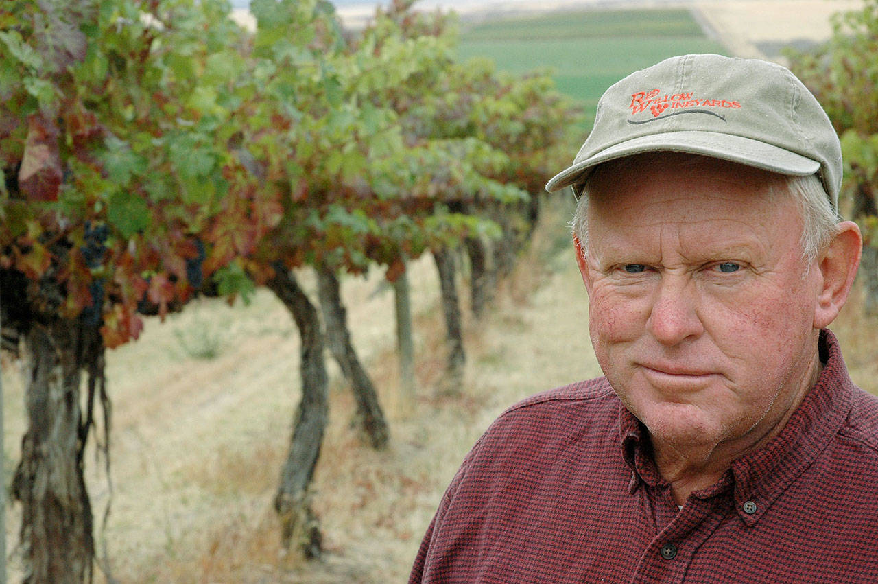 Mike Sauer is the owner of Red Willow Vineyard in the Yakima Valley. He planted Washington’s first syrah in 1986. (Photo by Andy Perdue/Great Northwest Wine)