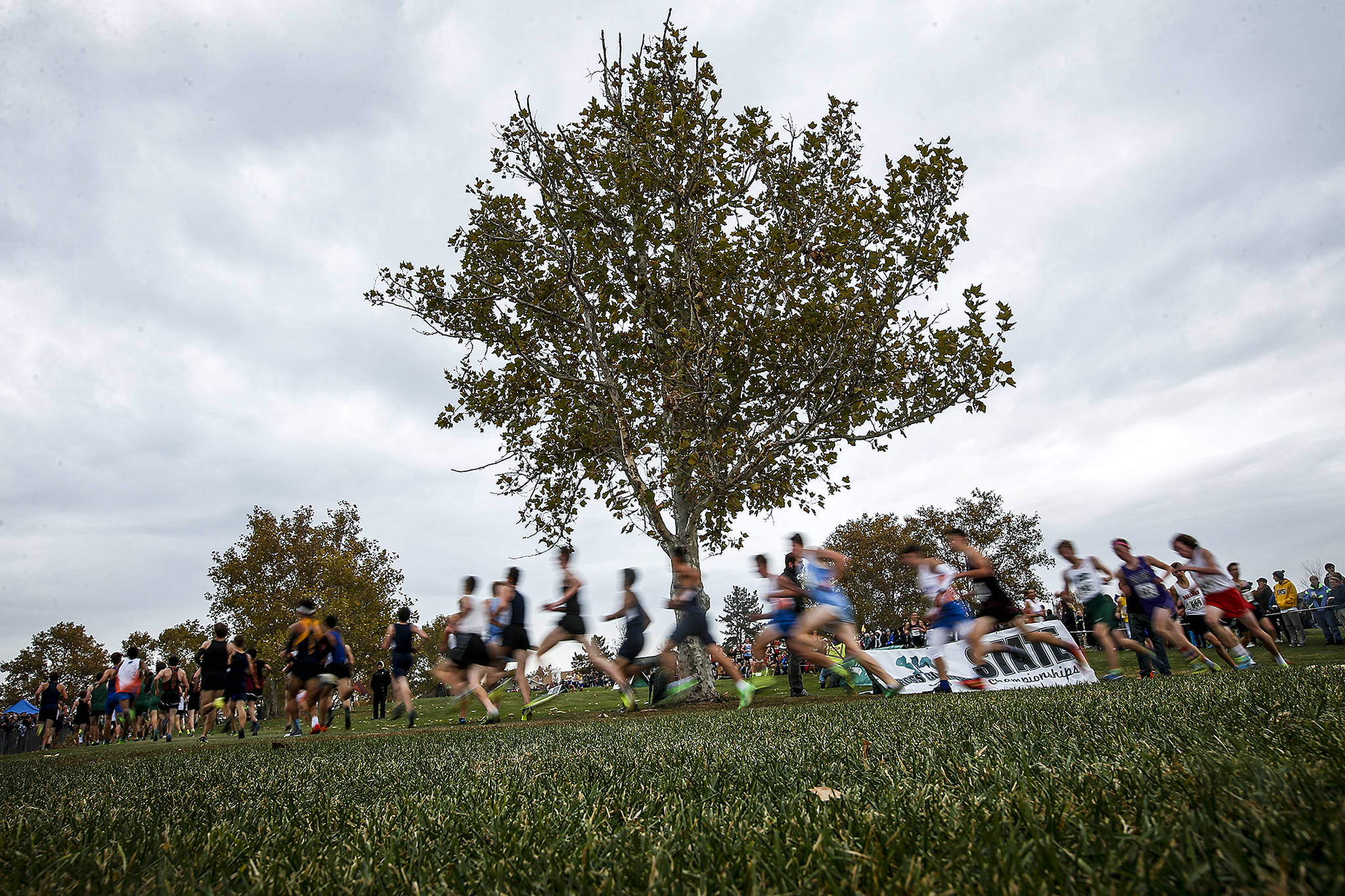 Runners round a bend Saturday during the Boys 3A State Cross Country Championships at Sun Willows Golf Course in Pasco. (Ian Terry / The Herald)