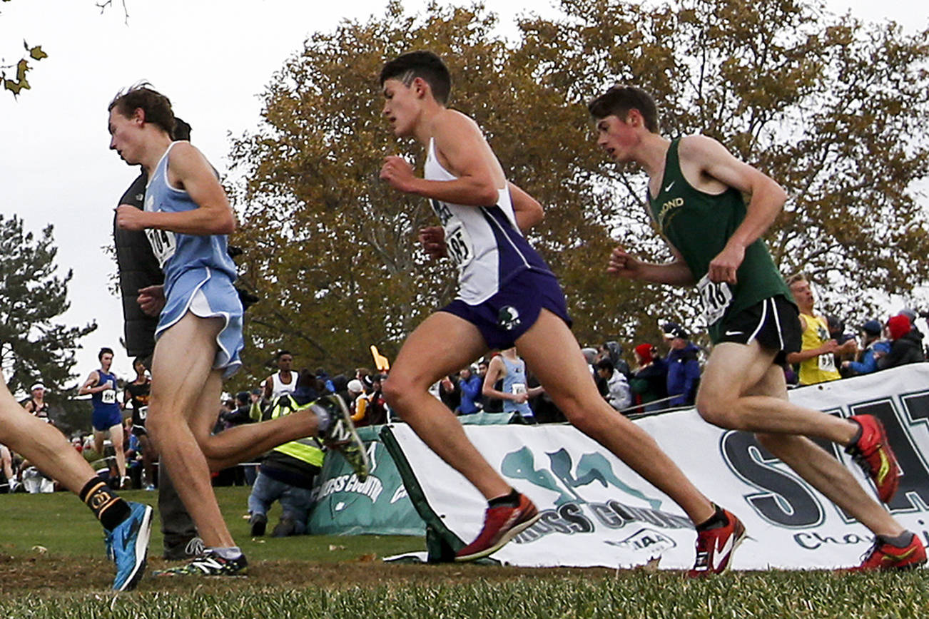 Edmonds-Woodway boys runners set personal records at state meet