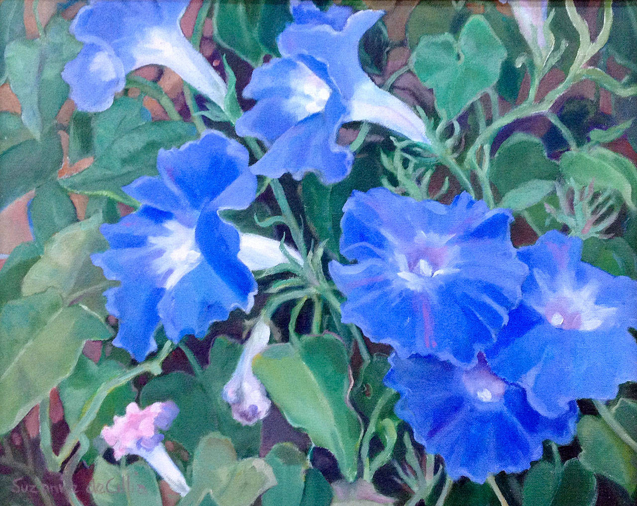 “Kula Morning Glories” by Suzanne deCillia is one of the new paintings displayed through Jan. 5 at The Sisters in Everett.