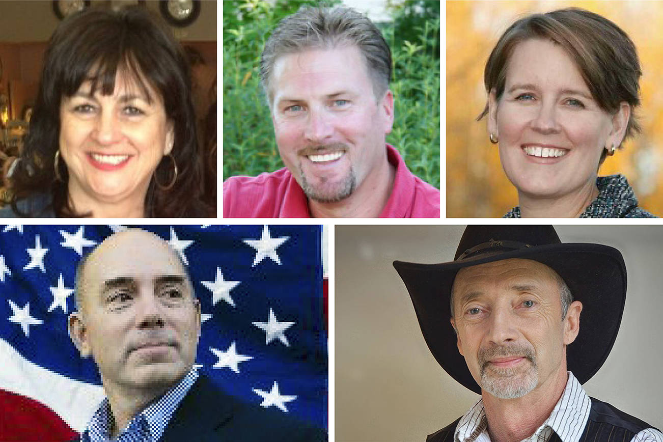 Five Republicans seeking open state Senate seat