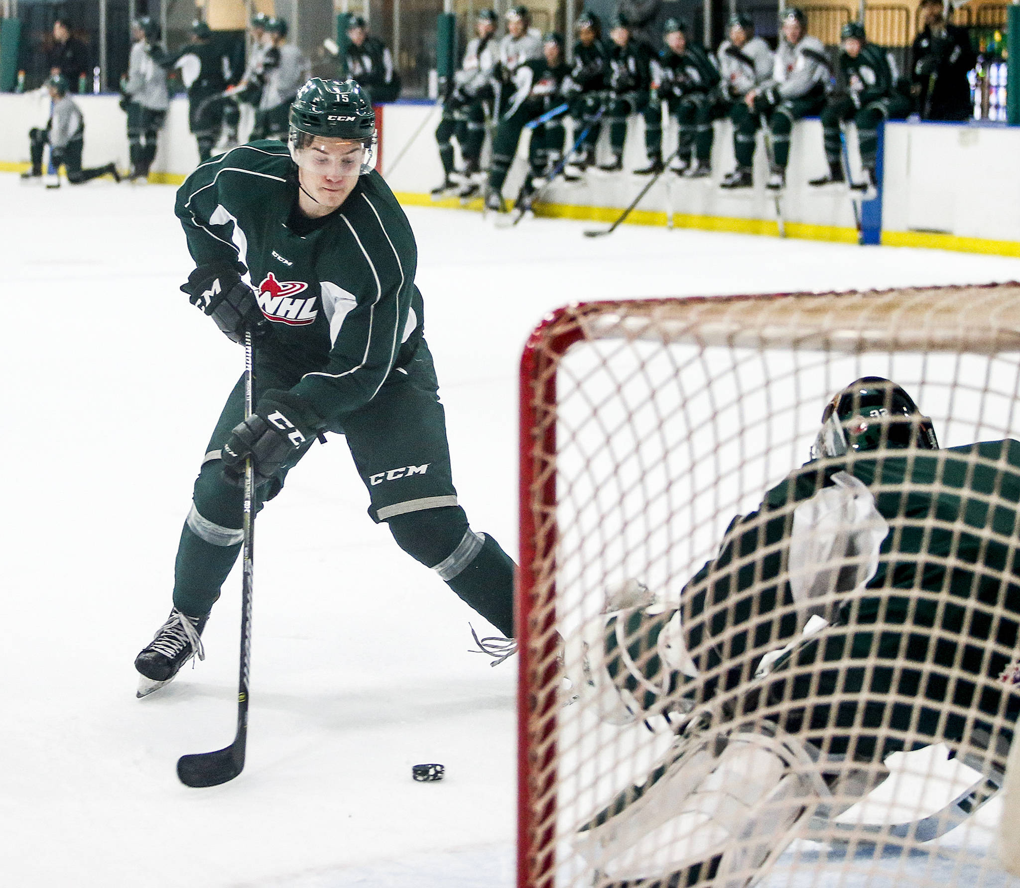 Silvertips left wing Sean Richards takes a shot on goal during a team practice at the Xfinity Arena Community Rink in Everett on Nov. 14. (Ian Terry / The Herald)