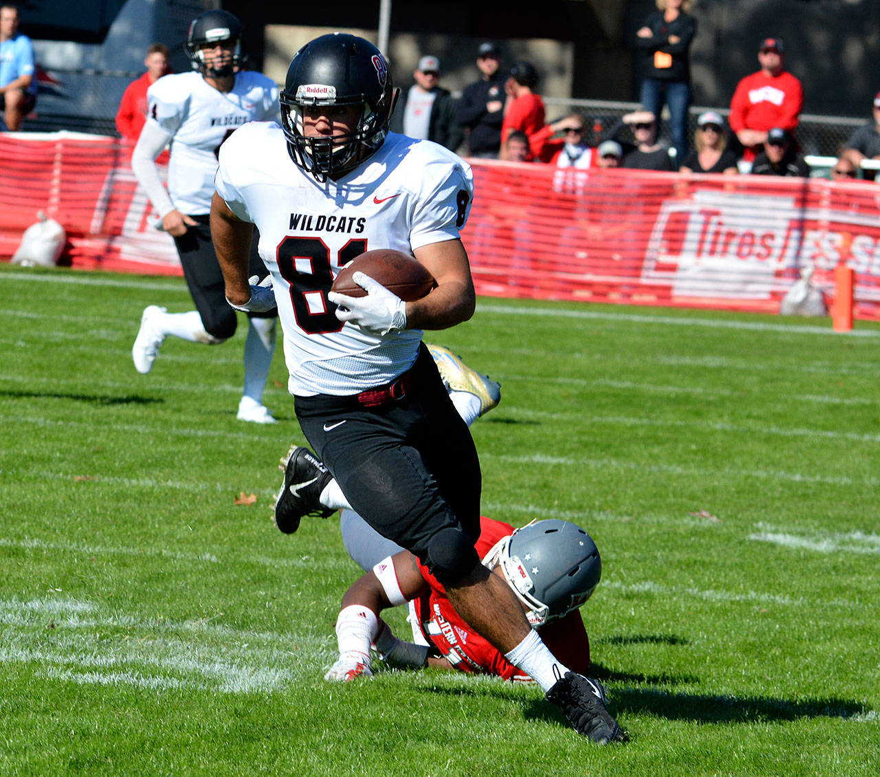Central Washington University photo                                Central Washington’s Christian Gasca runs upfield for the 11-0 Wildcats earlier this season. Gasca, a Lake Stevens High School alumnus, has CWU in the NCAA Division II playoffs.