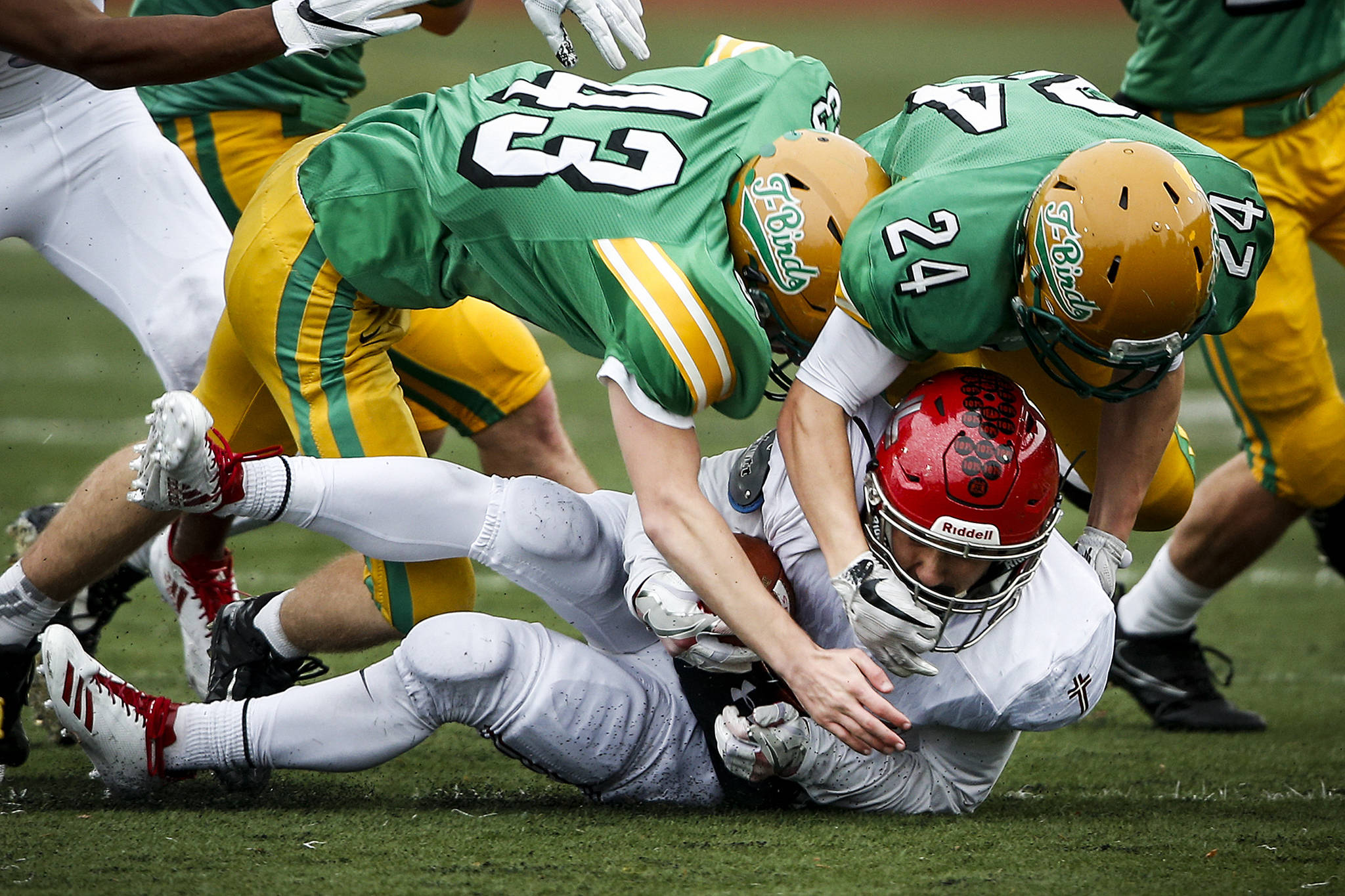Archbishop Murphy’s Ray Pimentel is smothered by Tumwater’s Jack Prentice (43) and Mason Burbridge (24) during a Class 2A semifinal state football game on Nov. 25, 2017, at Sparks Stadium in Puyallup. (Ian Terry / The Herald)