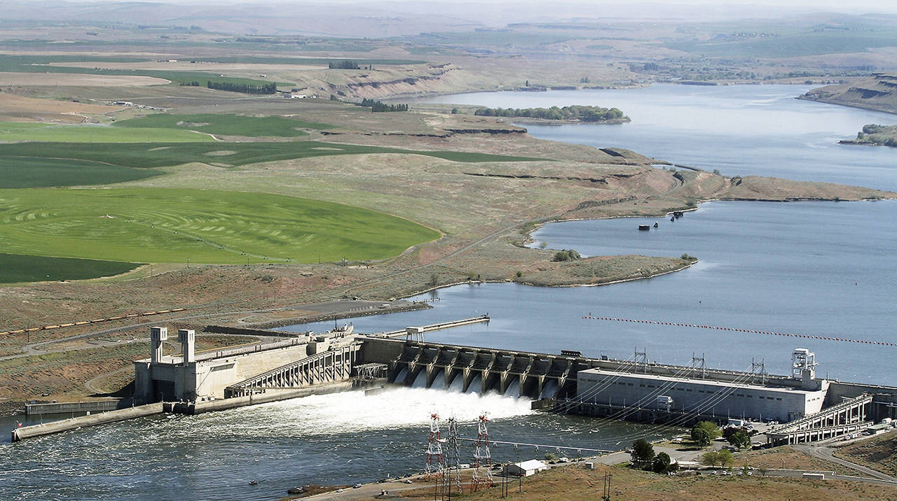 In this 2013 photo, the Ice Harbor Dam on the Snake River is seen from the air near Pasco. (Bob Brawday/The Tri-City Herald via AP, File)