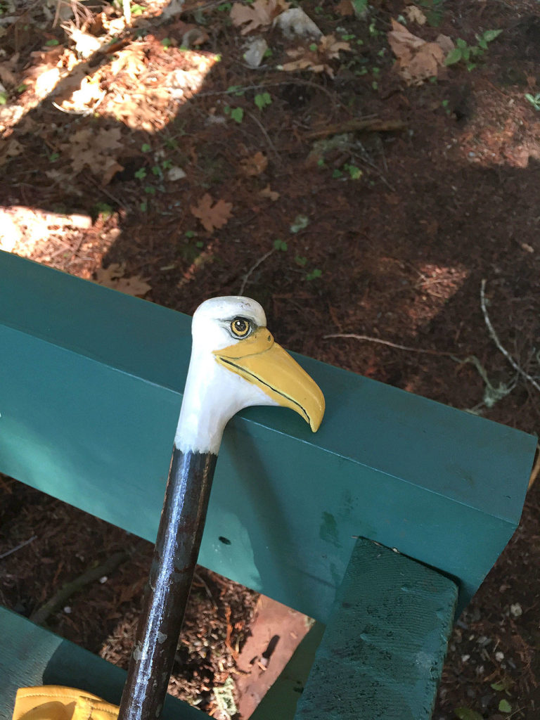 Spotting a real-life eagle may prove to be elusive, but this walking stick with a carved eagle head almost made up for it. (Aaron Swaney)
