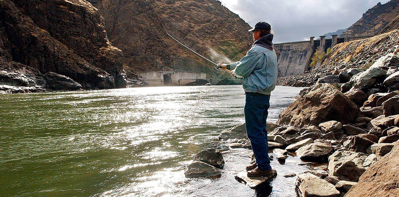 Fisherman Larry McBrom works along the Snake River shoreline below Hells Canyon Dam in southwestern Idaho on Jan. 25, 2006. Authorities have released recovery plans for federally protected Snake River chinook salmon and steelhead with the goal of making sure each species is self-sustaining in the wild. (Darin Oswald / The Idaho StatesmanFile)