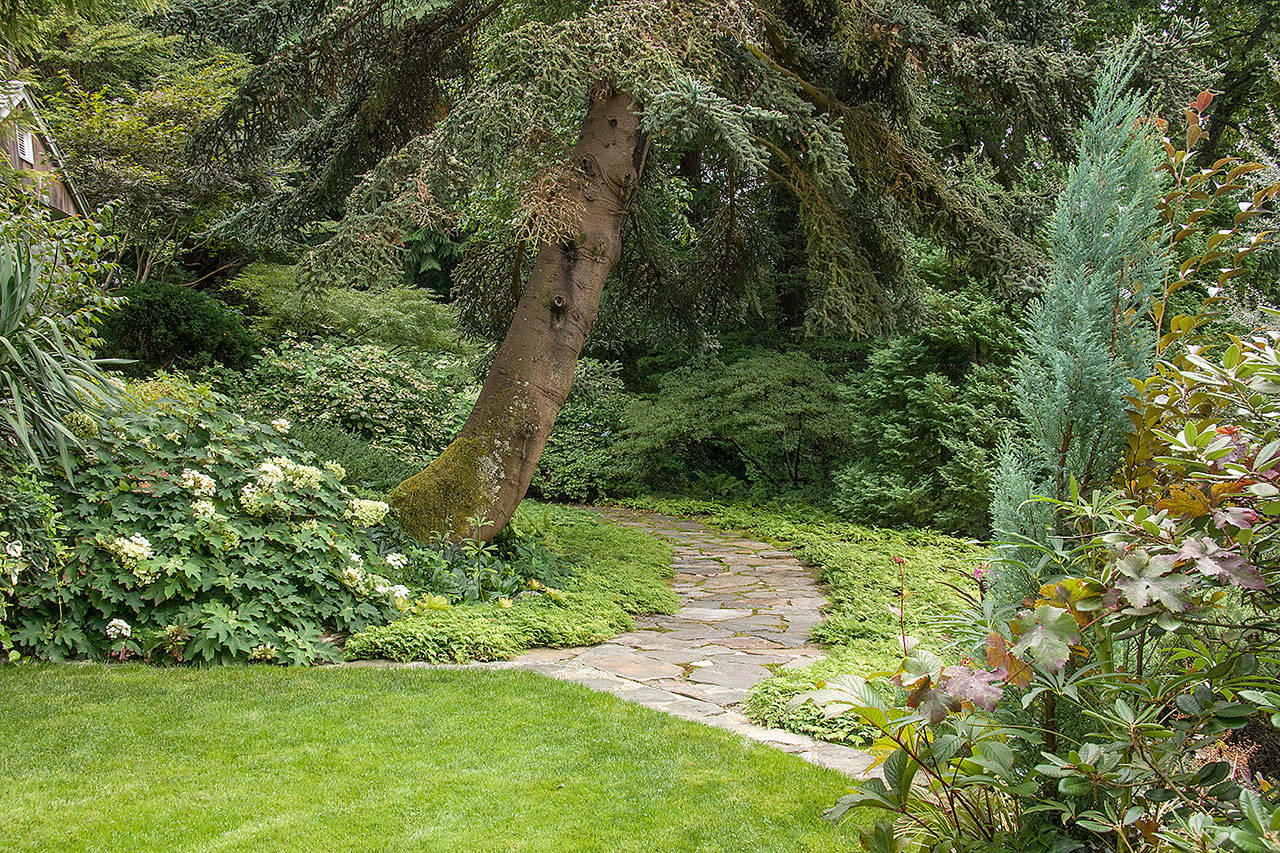 The grounds of the Elisabeth C. Miller Botanical Garden in the Highlands neighborhood of Shoreline. The garden has some 4,000 plants, many of them unique to the Northwest. (Photo by Richie Stephen)