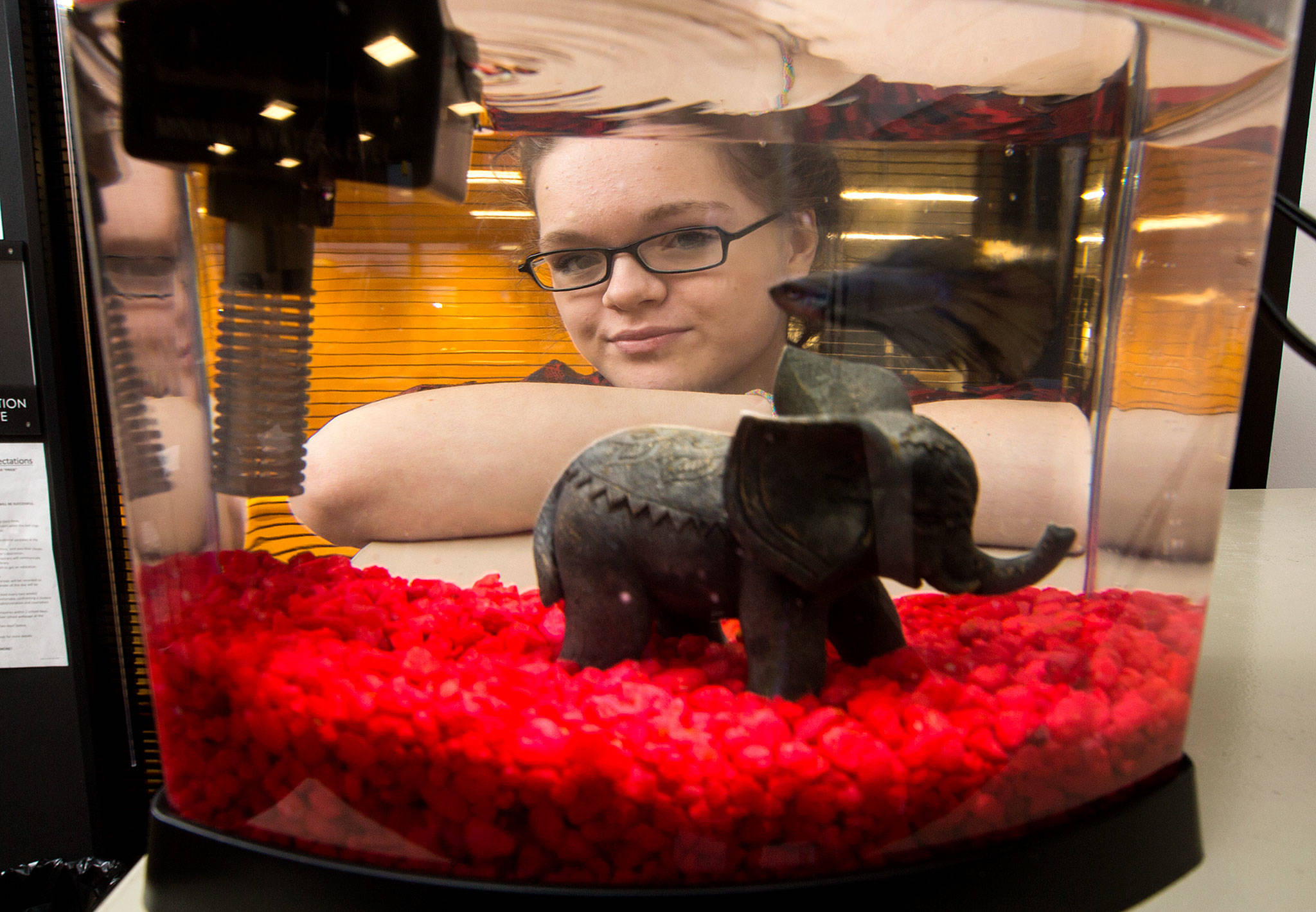 Gracie Britt, one of many STEM students at Lakewood High, is seen with the class fish on Tuesday in Lakewood. The class studied the effects of pet fish released into the Seven Lakes area. Britt, a sophomore and the club’s president, wants to become a marine biologist. (Andy Bronson / The Herald)