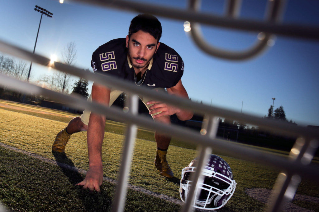 Matt Sevao of Lake Stevens was The Herald’s All-Area Defensive Player of the Year. Sevao set the school record with 18 sacks. (Kevin Clark / The Herald)
