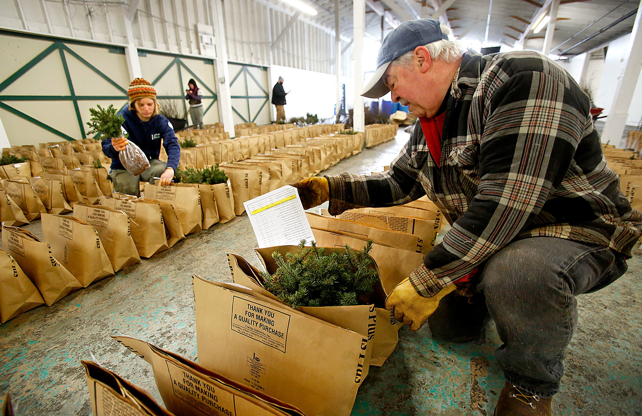 Jim Weisenbach helps the Snohomish Conservation District get ready for the annual plant sale at the fairgrounds. Weisenbach enjoys the work as well as all the young people who participate. (Dan Bates / The Herald)