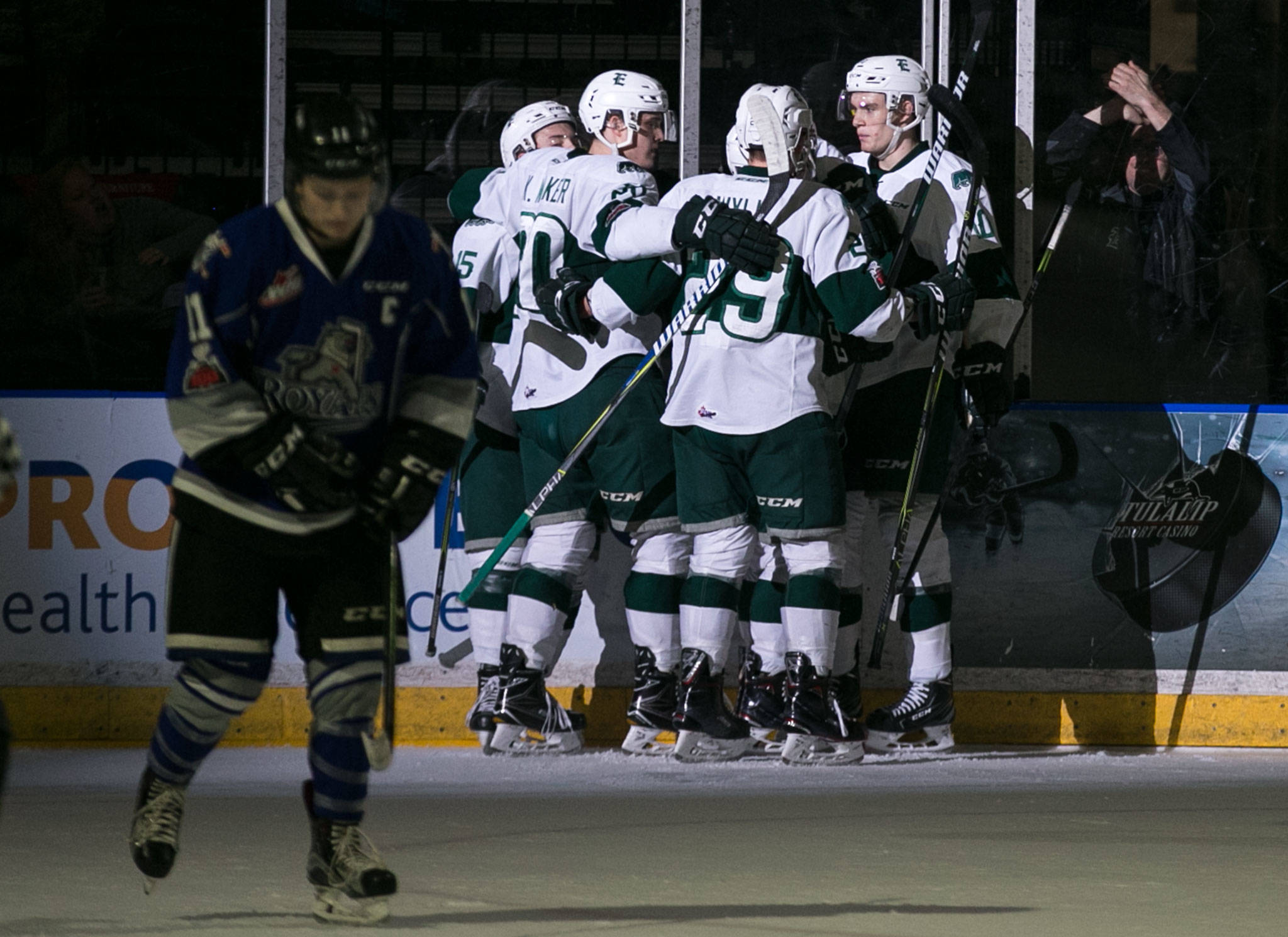 The Everett Silvertips celebrate a goal with Victoria’s Matthew Phillips at Angels of The Winds Arena Sunday night on January 7, 2018. championship. Silvertips won 9-4. (Kevin Clark / The Daily Herald)