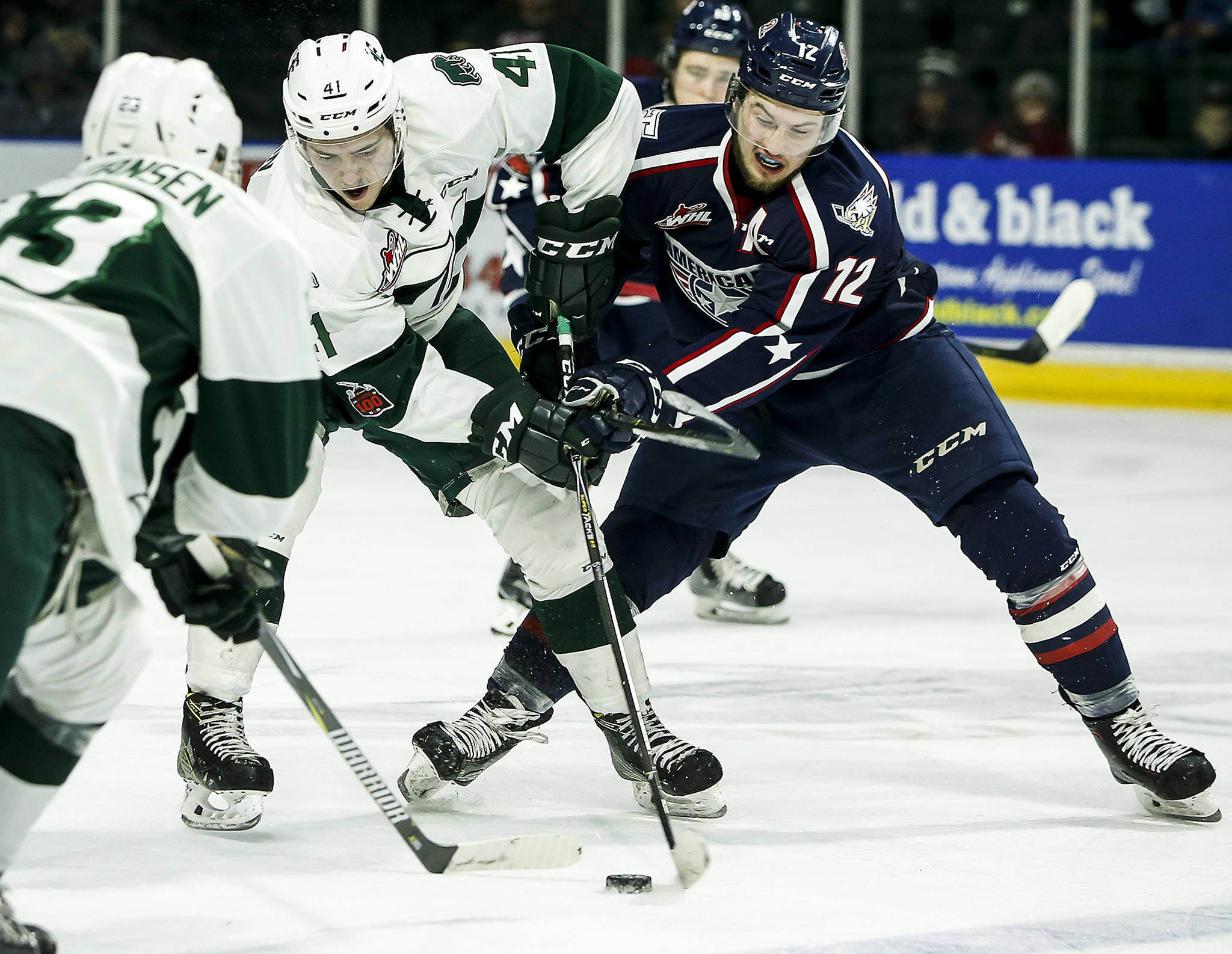 The Silvertips’ Garrett Pilon (left) keeps the puck away from Tri-City’s Jordan Topping (right) during a game on Jan. 10, 2018, at Angel of the Winds Arena in Everett. (Ian Terry / The Herald)