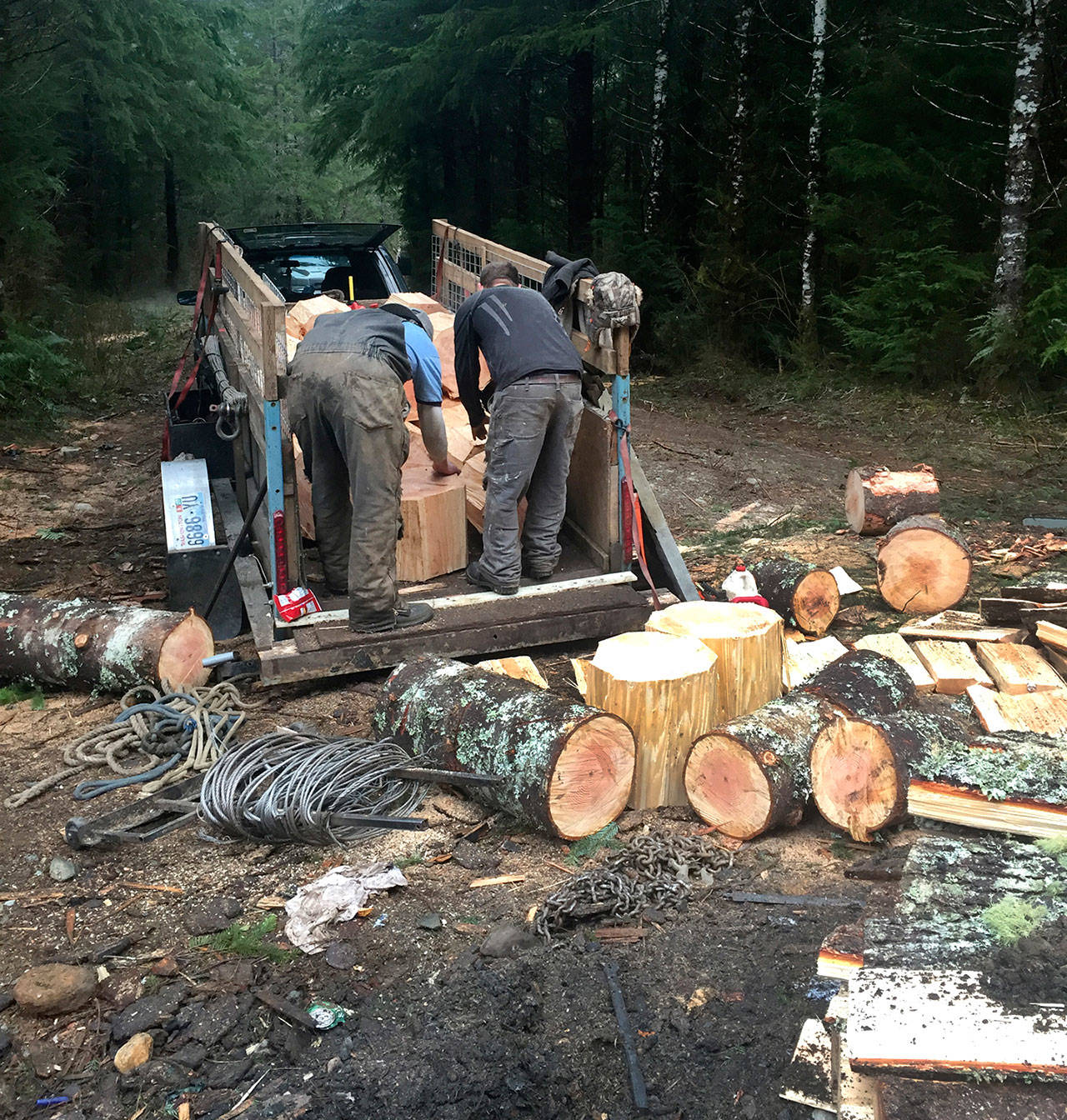 Department of Natural Resources police officers are investigating two men on suspicion of cutting down trees on state trust land outside of Granite Falls earlier this year. (Washington State Department of Natural Resources)
