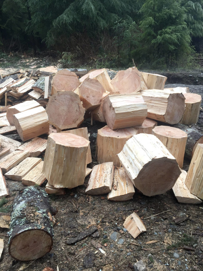 The largest tree measured about 3 feet wide, two others at least 2 feet wide. They were mature, but not old growth. (Washington State Department of Natural Resources)
