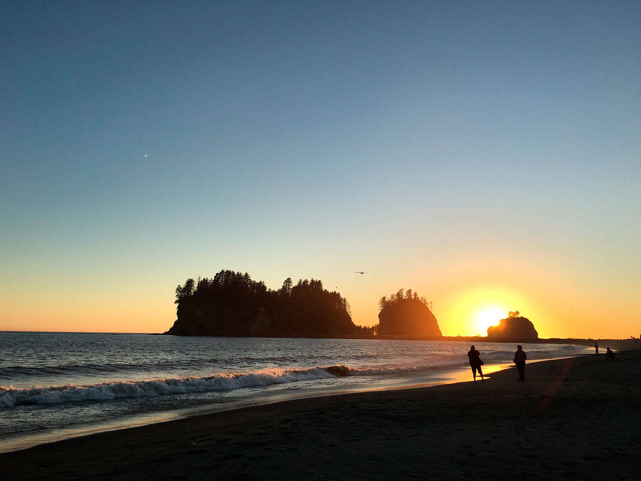 Sen. Maria Cantwell, D-WA, tweeted this photo of the beach at La Push, on Washington state’s coast, as one example of scenic beauty worth protecting from any potential offshore oil drilling-related ecological disasters. (Maria Cantwell / Twitter)